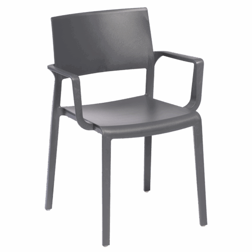 Stuhl Lilibet Grau mit Armlehne – Bild 3