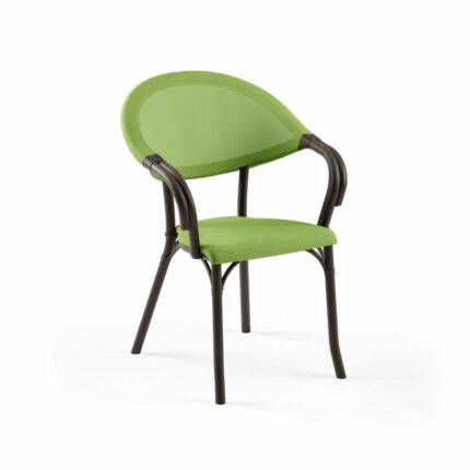 Sessel Flash-N | Venge Gestell Grün 3045471