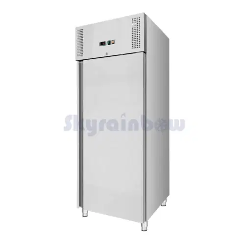 Speiseeis-Lagertiefkühlschrank Speiseeis-Lagertiefkühlschrank – Bild 2