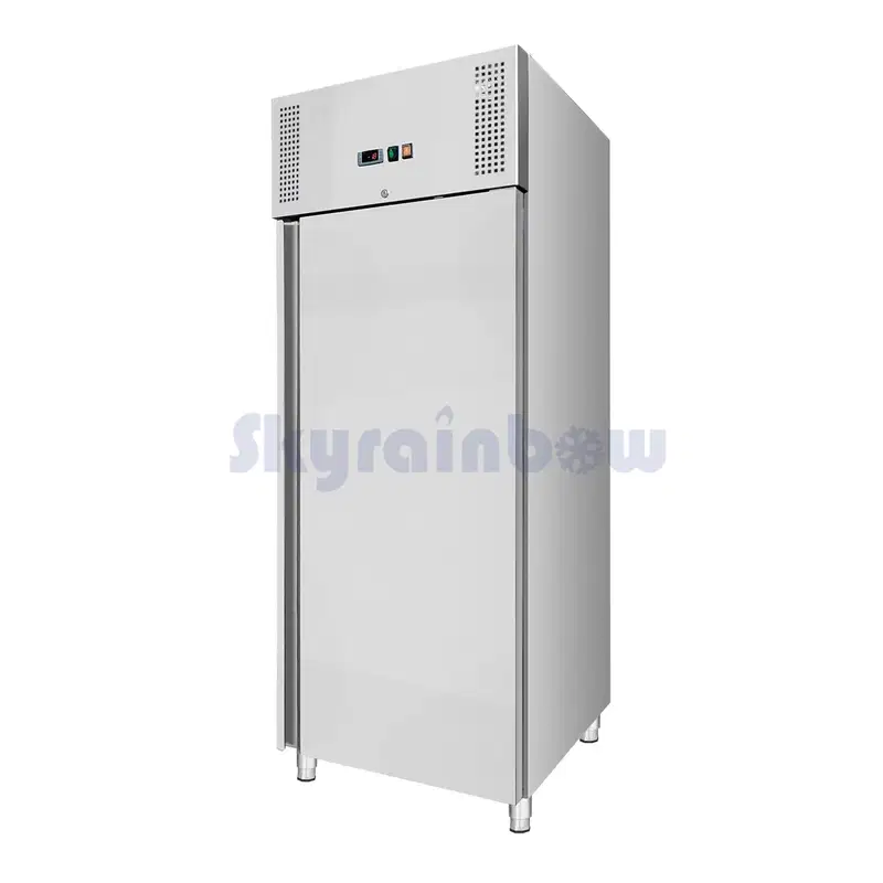 Speiseeis-Lagertiefkühlschrank Speiseeis-Lagertiefkühlschrank – Bild 1