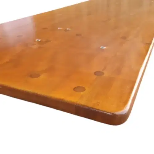 Premium Bierzeltgarnitur Set mit Lehne