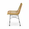 Gartensessel Cuba mit Rattan-Sitzschale für Terrasse und Außengastronomie in Seitenansicht