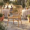Gartenstuhl Bamboo – Rückseite und Rattan maße